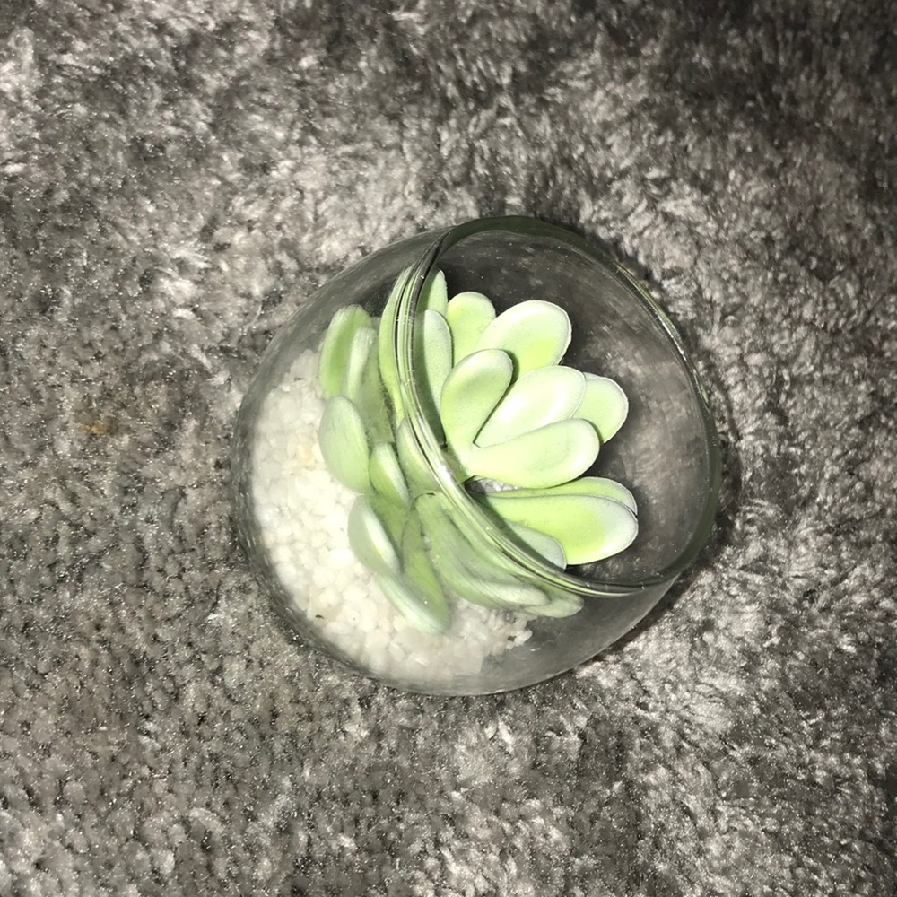 fake succulent decor